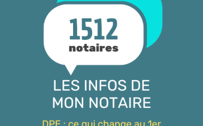 NEWSLETTER DÉCEMBRE 2025